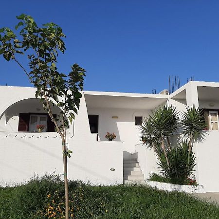 Joanna'S Rooms On The Beach Plaka  Exterior photo
