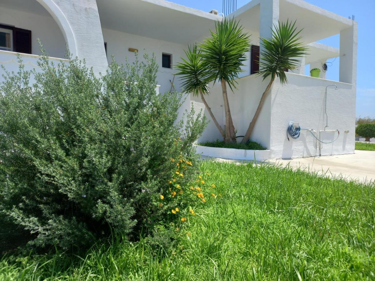 Joanna'S Rooms On The Beach Plaka  Exterior photo