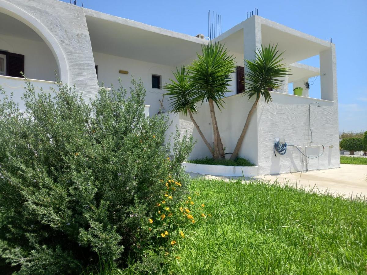 Joanna'S Rooms On The Beach Plaka  Exterior photo