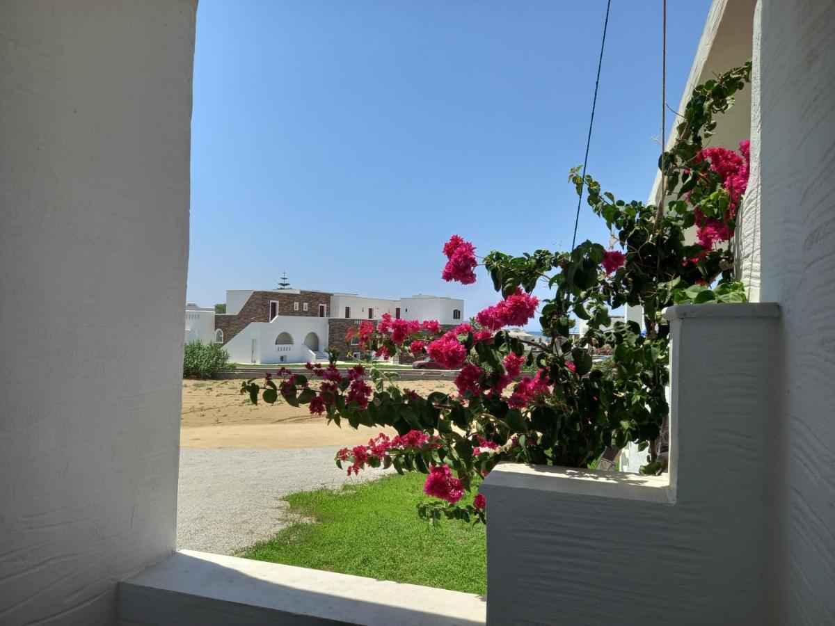 Joanna'S Rooms On The Beach Plaka  Exterior photo